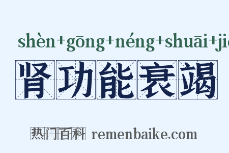 肾功能衰竭是什么意思的图片